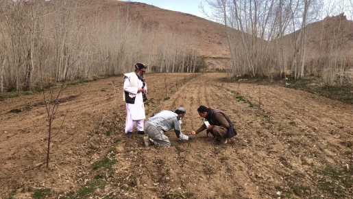 Na afghánském venkově jsme zasetím semen vrátily lidem naději a důstojnost